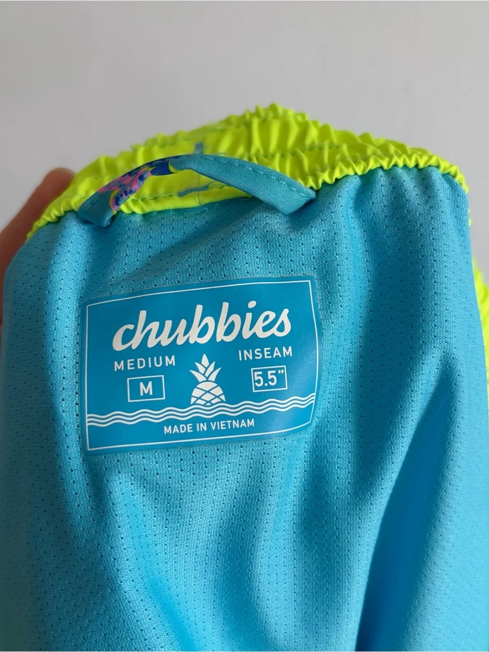 Chubbies The Dino Delight Classic Swim Trunks 5.5” Inseam
